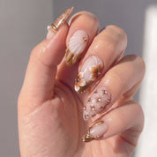 Regal Lace
