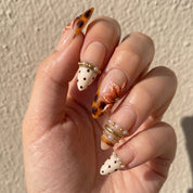 Gilded Tortie