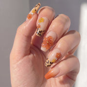 Safari Marigold