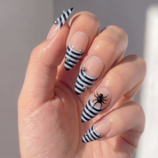 Striped Widow