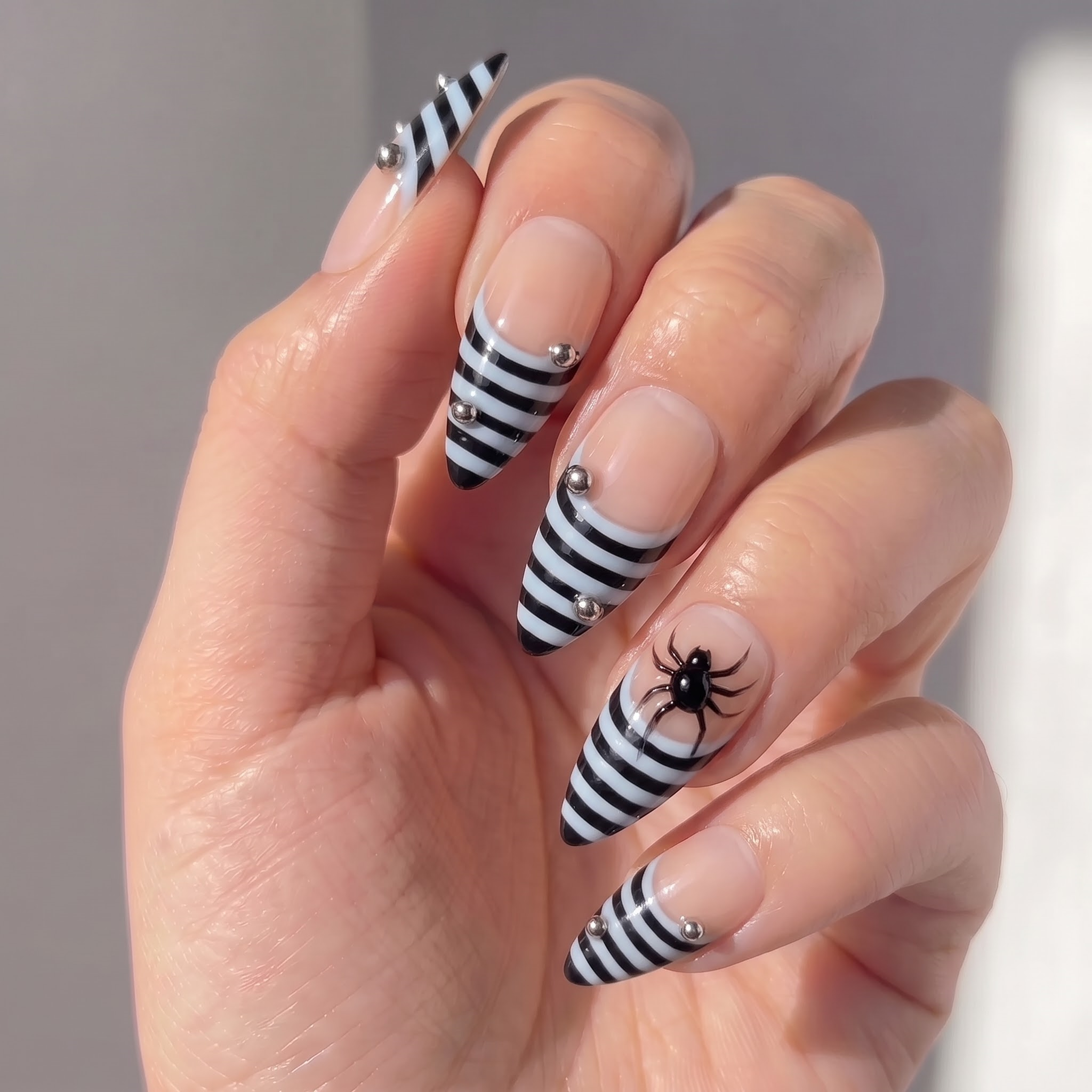 Striped Widow
