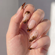 Amber Pumpkin