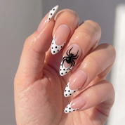 Dotted Spider