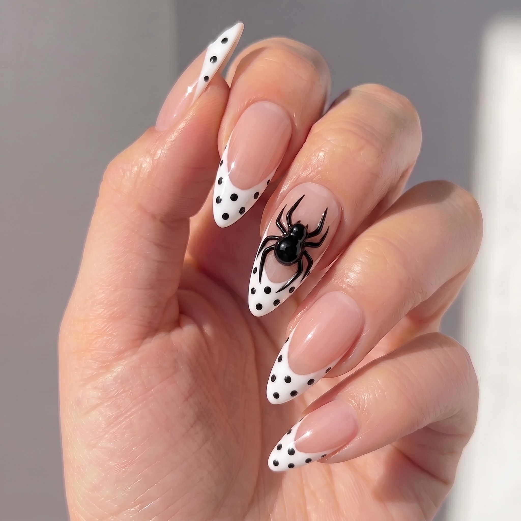 Dotted Spider