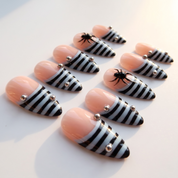 Striped Widow