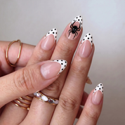 Dotted Spider