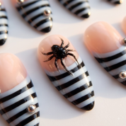 Striped Widow