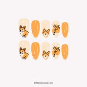 Royal Corgi
