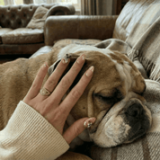 Bulldog Plaid press-on nails – hand-painted reusable gel set by Handora