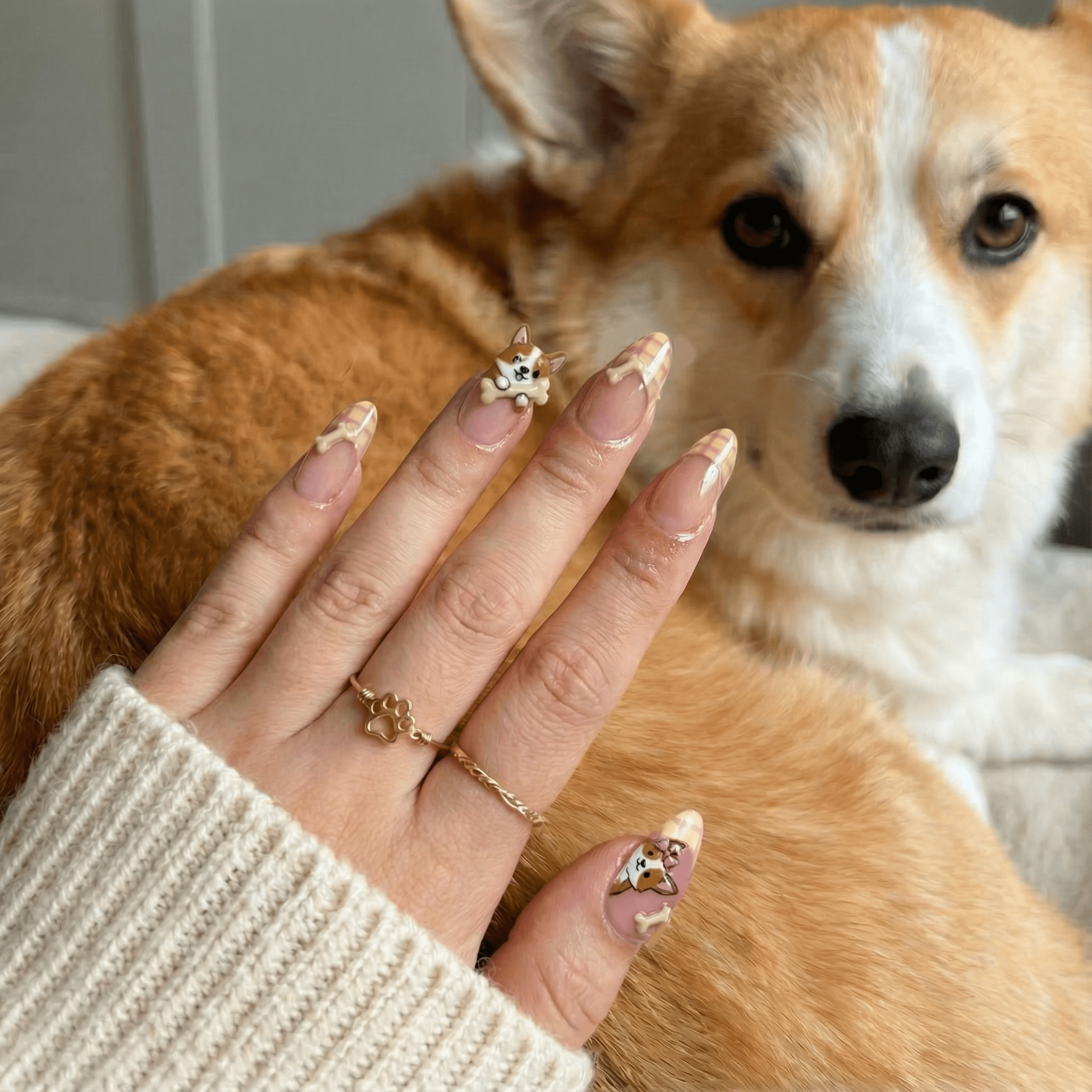 Corgi Bone press-on nails – hand-painted reusable gel set by Handora