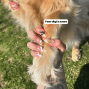 Doxie Hotdog almond press-on nails – design close-up by Handora