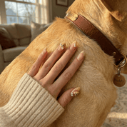 Labrador Charm press-on nails – hand-painted reusable gel set by Handora