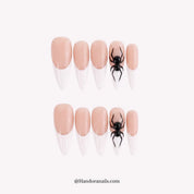 Lone Spider