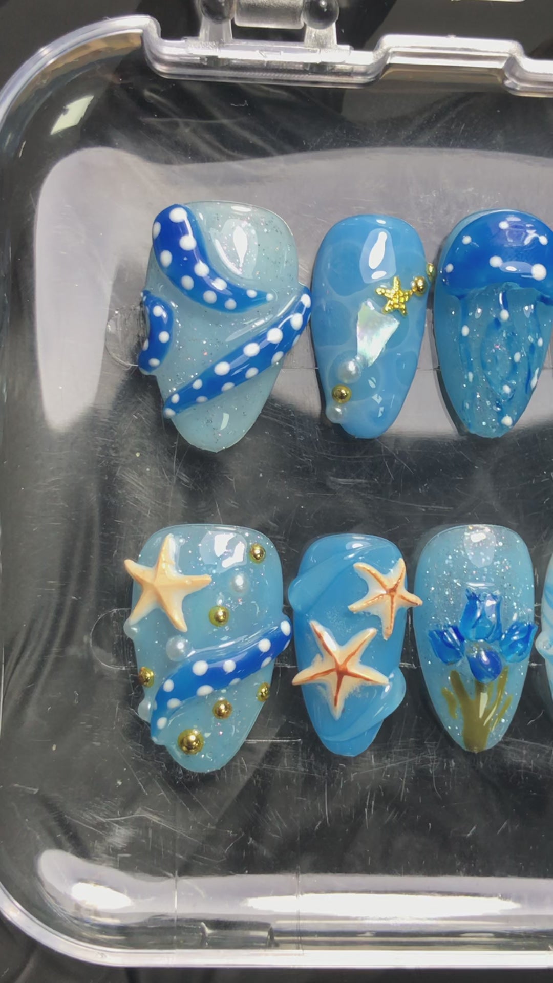 Ocean Wonders