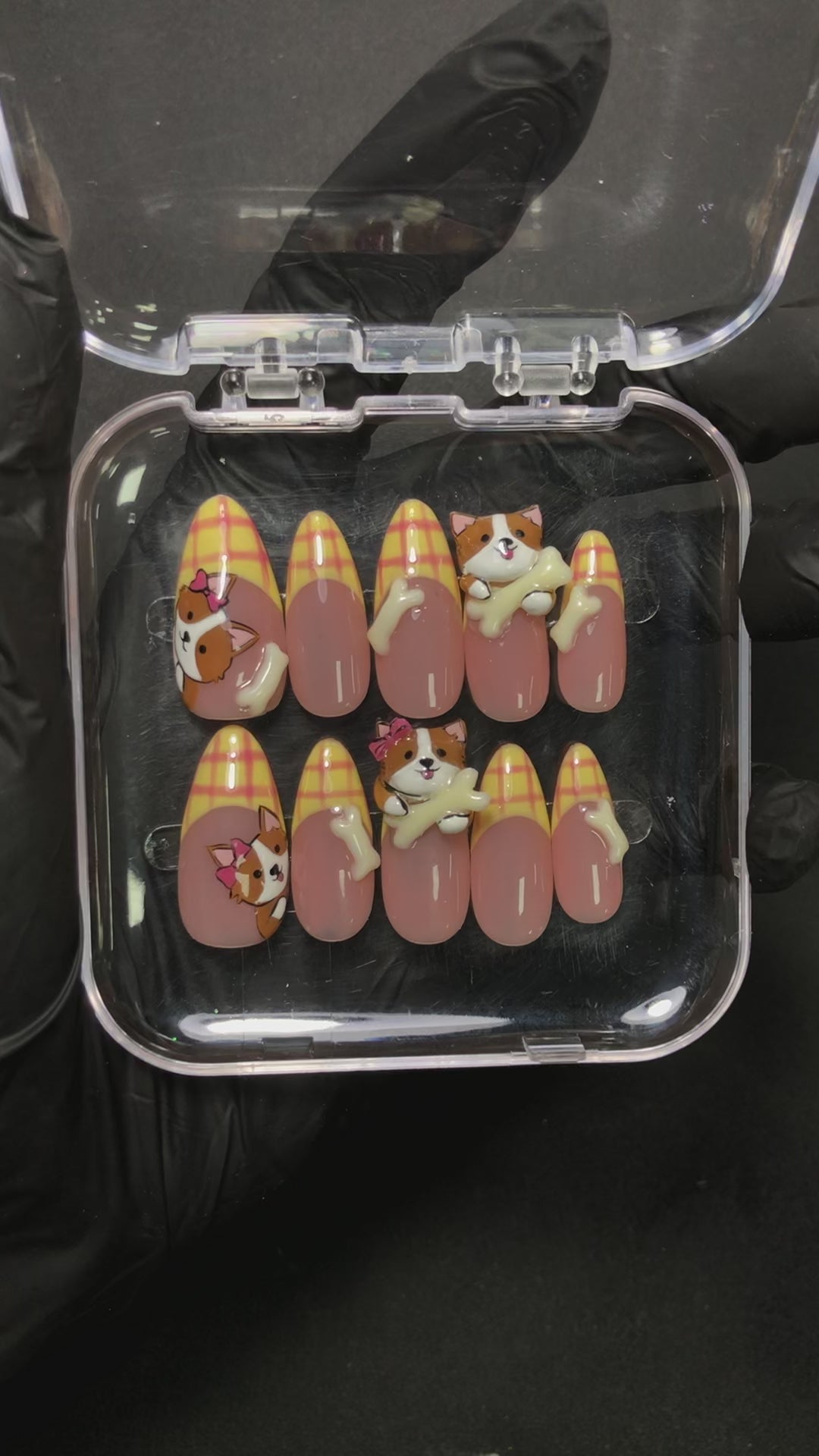 Corgi Bone