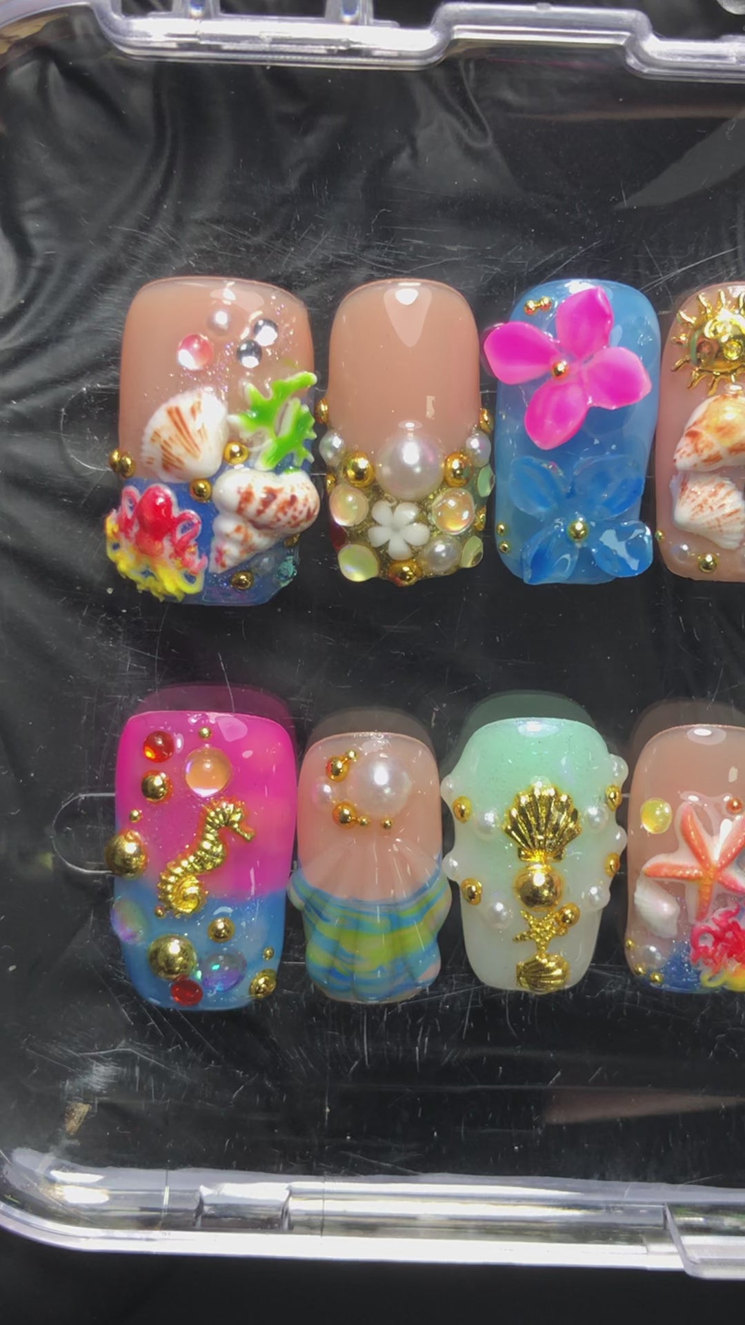 Ocean Shells