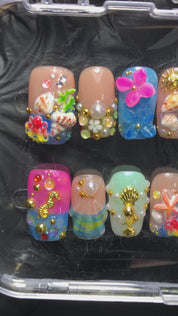 Ocean Shells