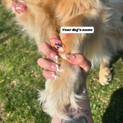 Labrador Fetch almond press-on nails – design close-up by Handora